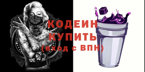 индика Абинск