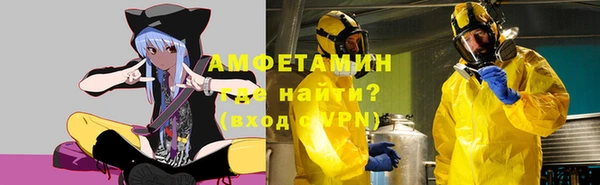 индика Абинск
