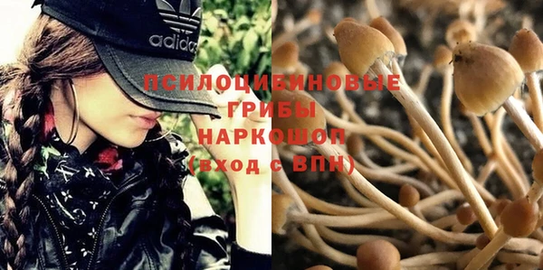 индика Абинск