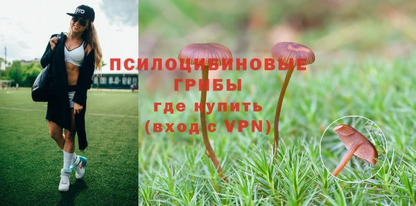 индика Абинск