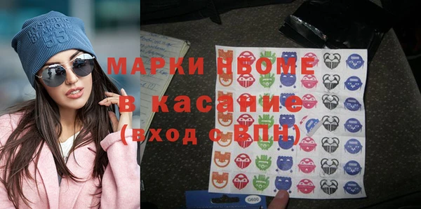 индика Абинск