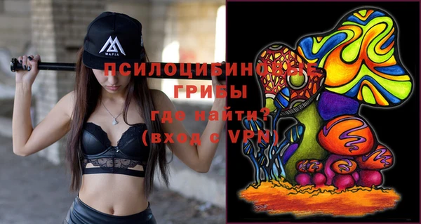 не бодяженный Абаза
