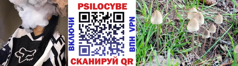 где продают   Агидель  Галлюциногенные грибы прущие грибы 
